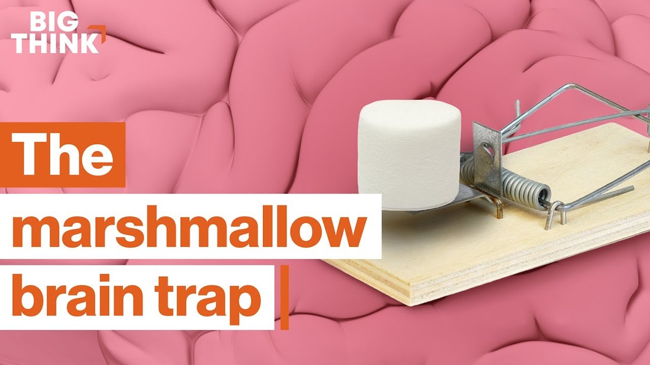 image How to retrain your brain for long-term thinking