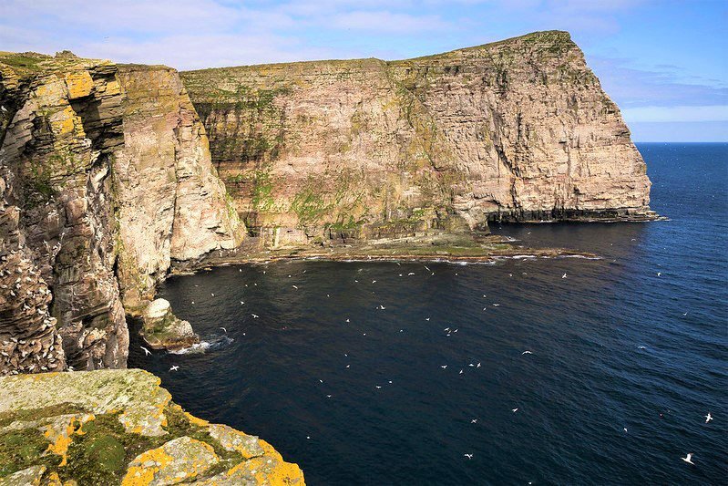image What’s Eaten Where: Shetland