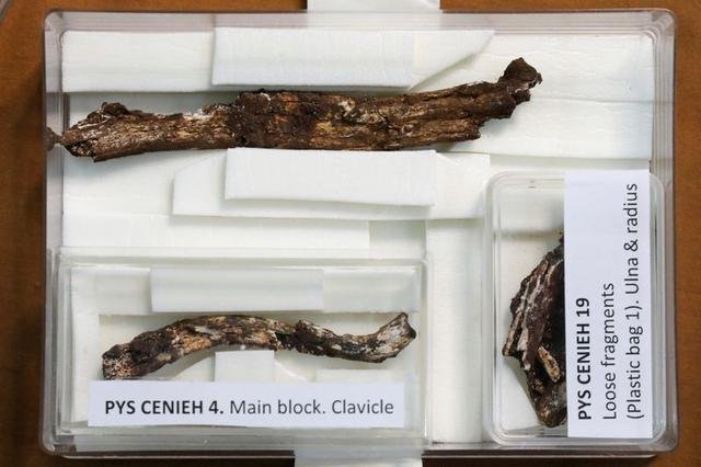 image Child&#8217;s burial site tells of early man&#8217;s emotional life &#8211; Kenyan archaeologist