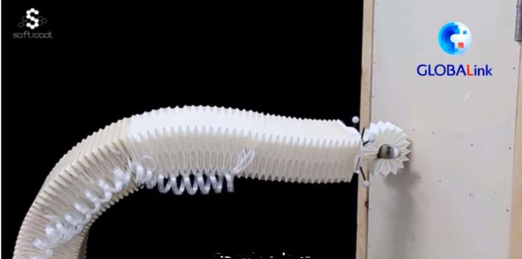 image Robot arm for delicate tasks &#8212; made in China