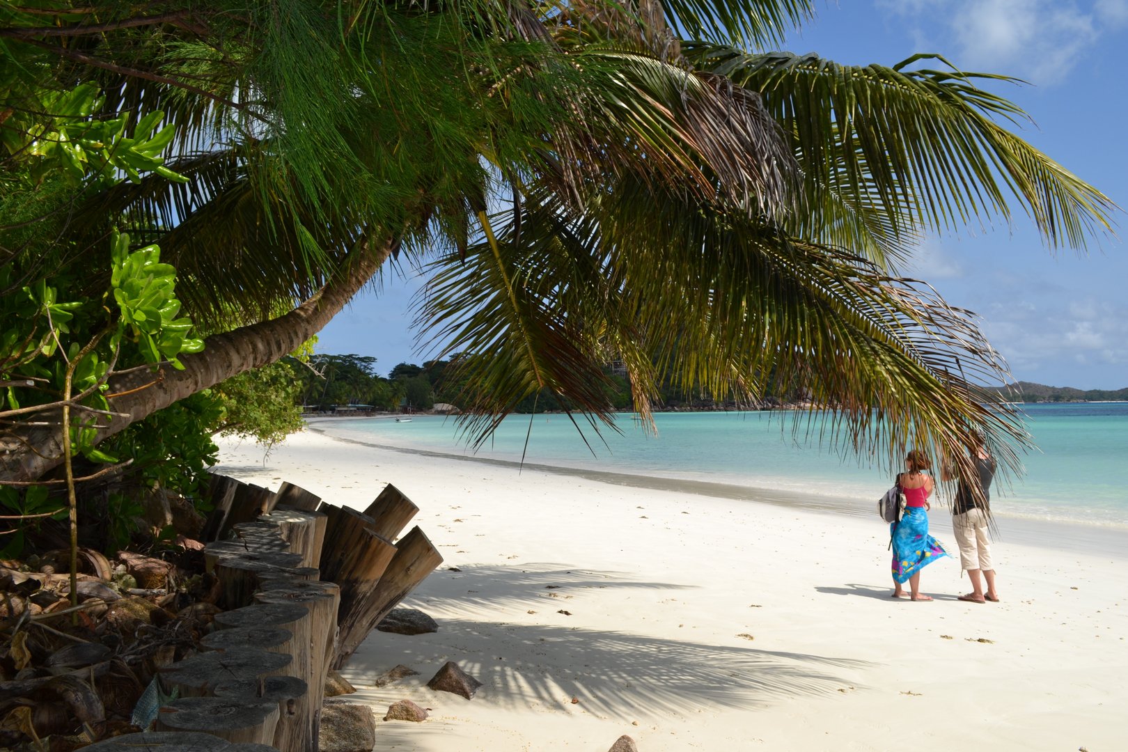 image Seychelles, world&#8217;s most vaccinated country, reports surge in Covid cases, WHO investigating