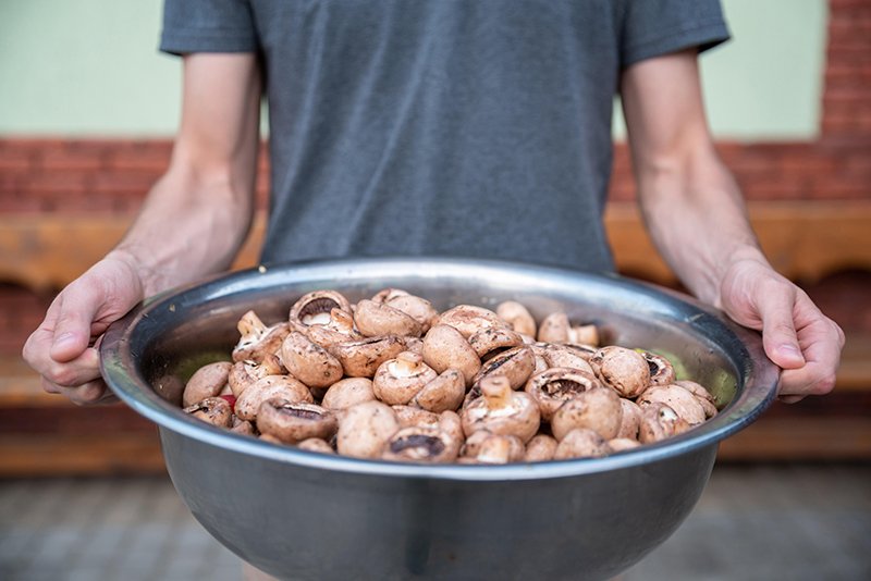 image Could mushrooms be the health-booster you’re missing?