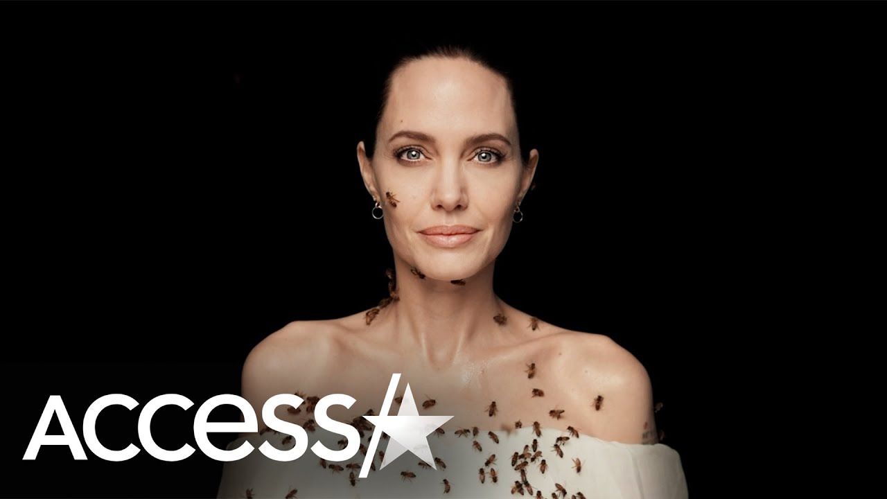 image Angelina Jolie snapped covered in bees for NatGeo campaign
