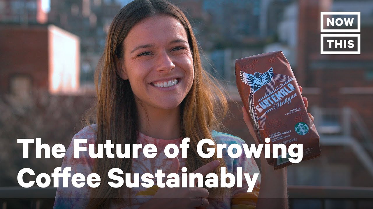 image How sustainability is shaping the future of coffee farming