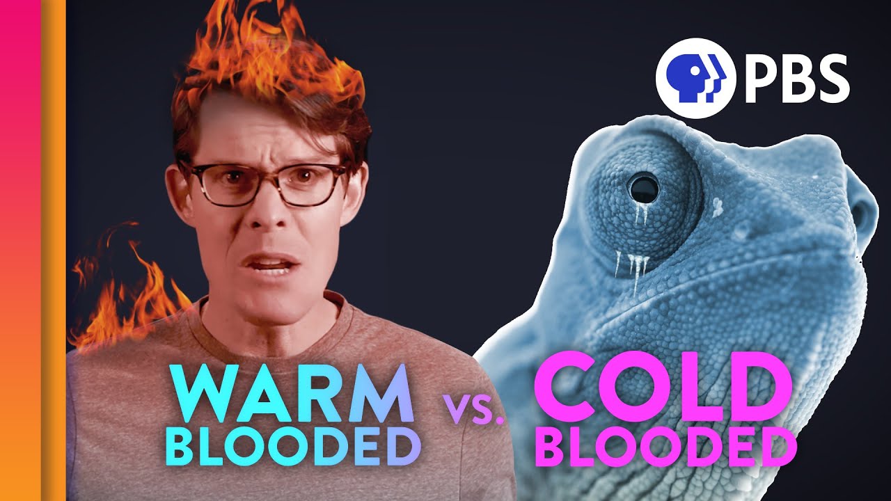 image The science behind why humans are warm-blooded