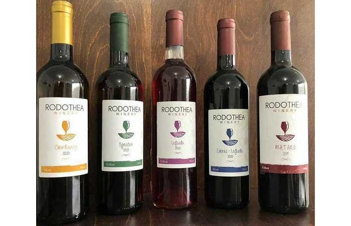 image Visiting Rodothea: young winery in Nicosia district