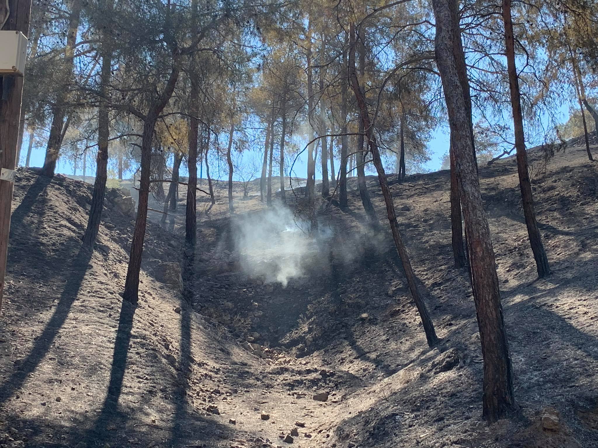 image Kadis stresses importance of Mammari base in battle against Xyliatos blaze (Updated)