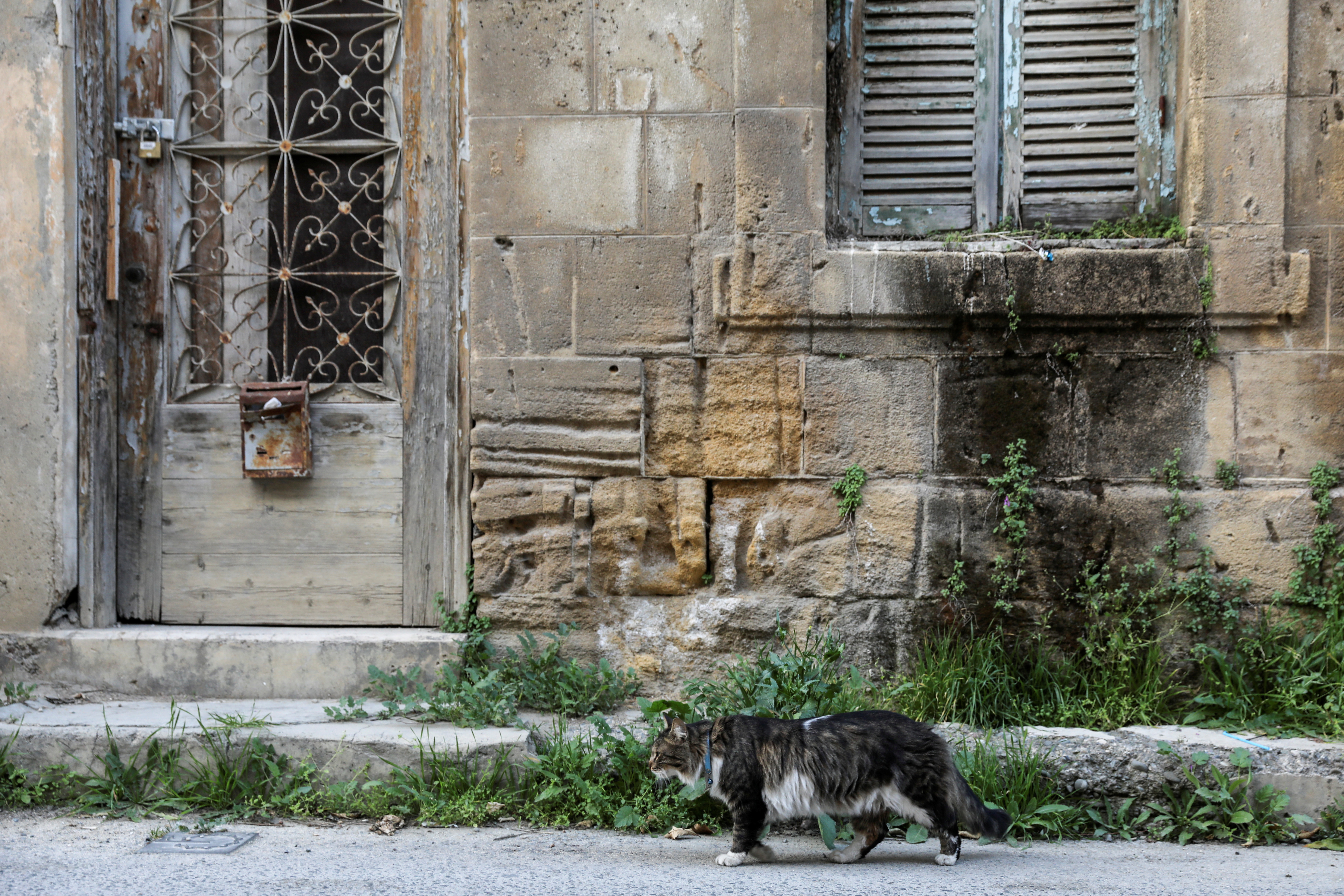 a cat makes its way past an abandoned house in the old city of nicosia