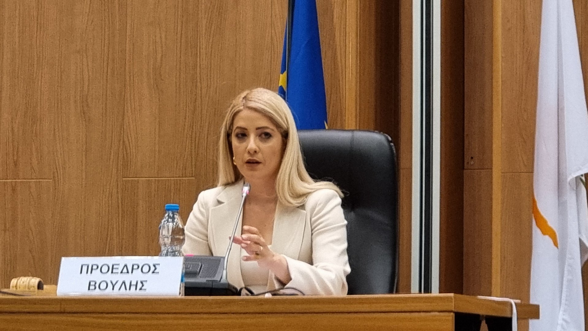 image Annita Demetriou calls for reclassification of Syria as safe country