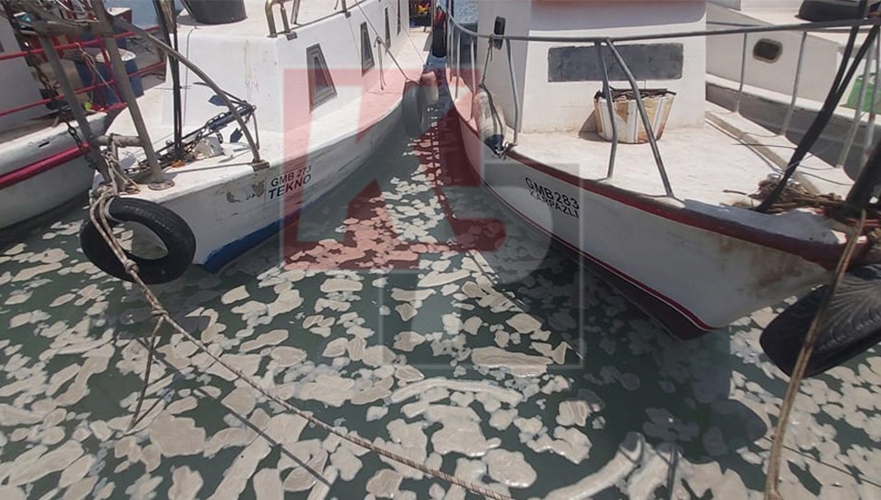 image Signs of Turkish ‘sea snot’ off Famagusta area – reports