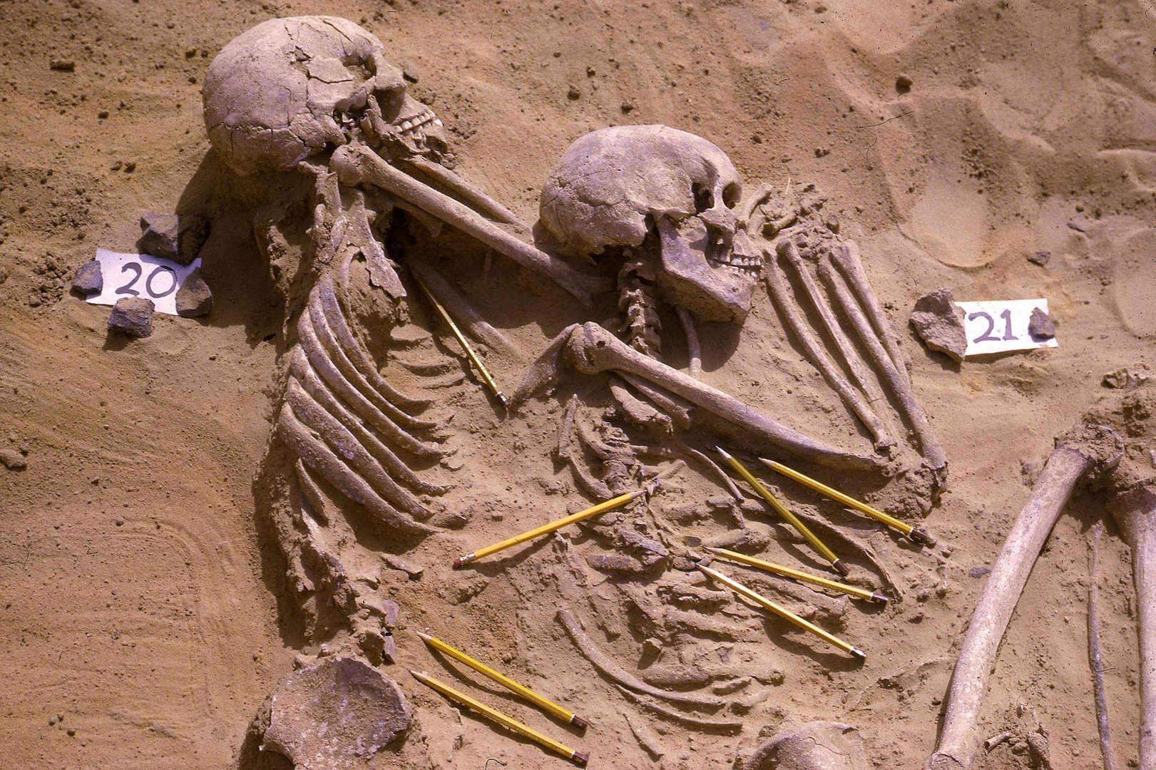 image Prehistoric cemetery in Sudan shows war has been hell forever