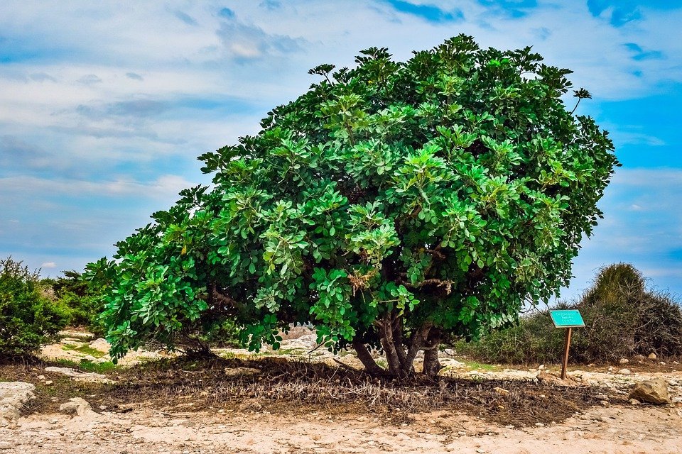 image State failing to follow own rules for big projects say conservationists