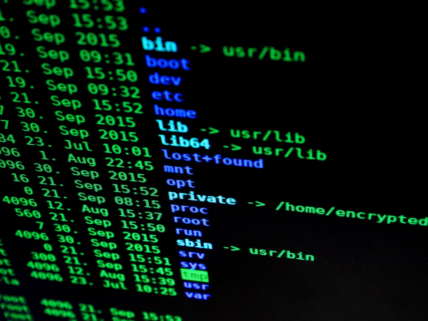 image Global crackdown on organised crime after high-tech US-Australia sting