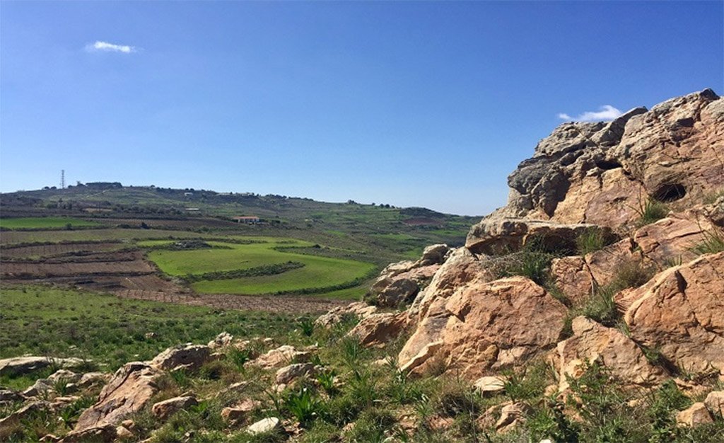image Court recognises environmental NGOs&#8217; legitimate interest to protect nature
