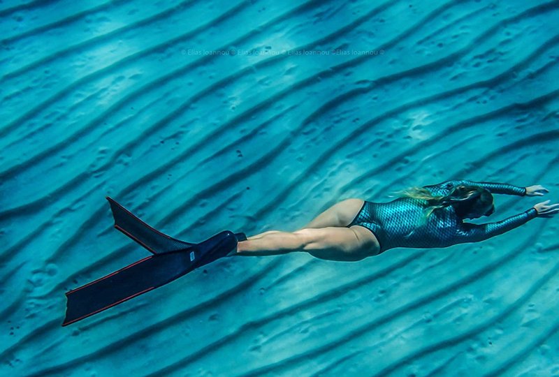 image Celebrating the beauty beneath the sea