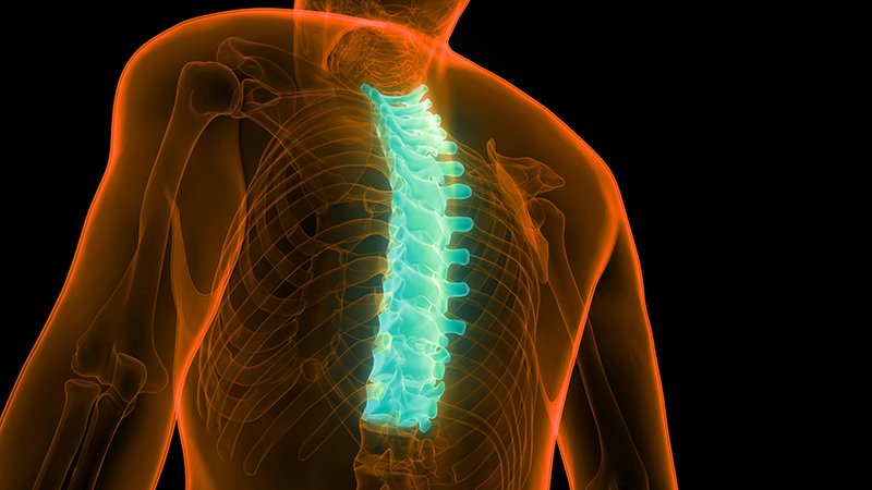 image Don’t forget about your thoracic spine