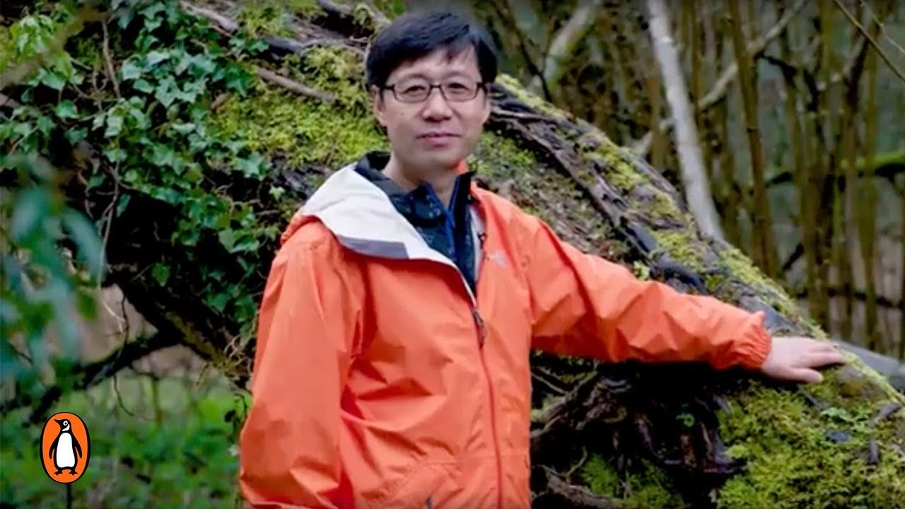 image Shinrin-Yoku: how Japan&#8217;s art of &#8216;forest bathing&#8217; boosts health