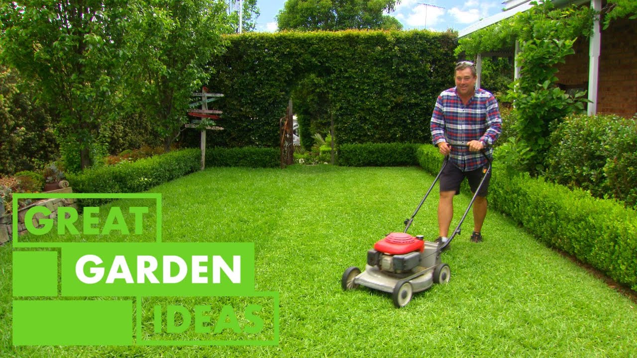image How to ensure your garden thrives in summer