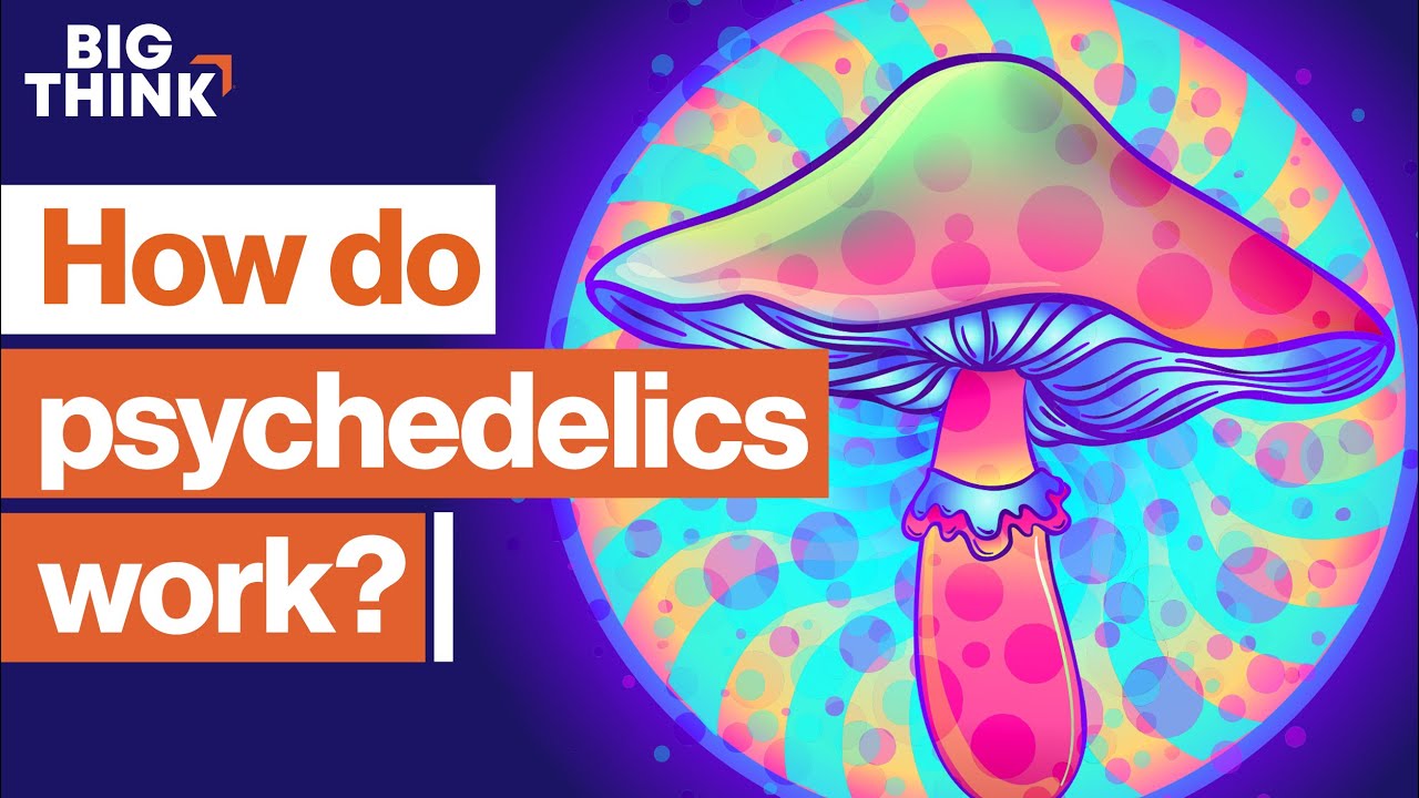 image Psychedelics: the scientific renaissance of mind-altering drugs