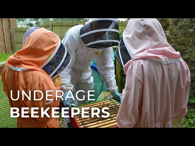 image The Isle of Man students who care for bees