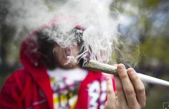 image Amazon backs marijuana legalisation