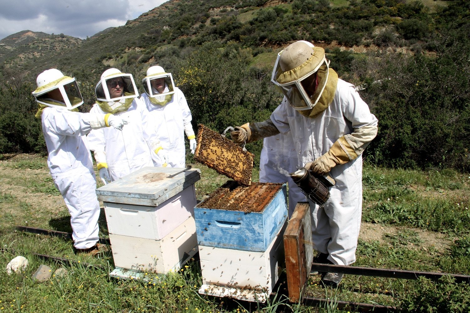 image Larnaca’s bee villages seek to attract more visitors (with video)