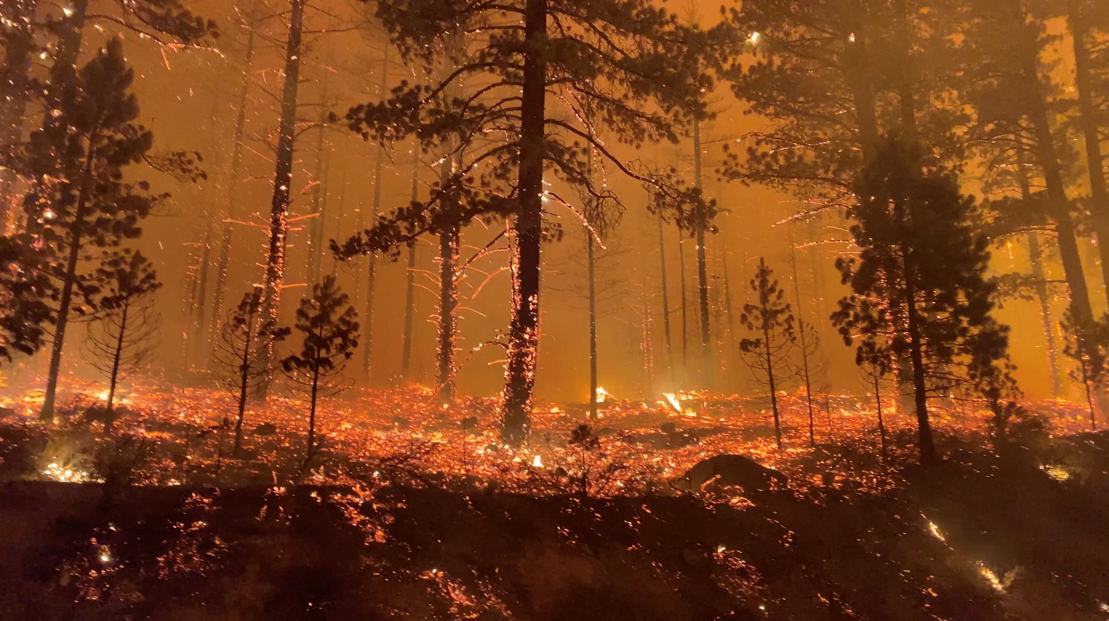 image Sprawling Oregon blaze expands, forcing firefighters to retreat