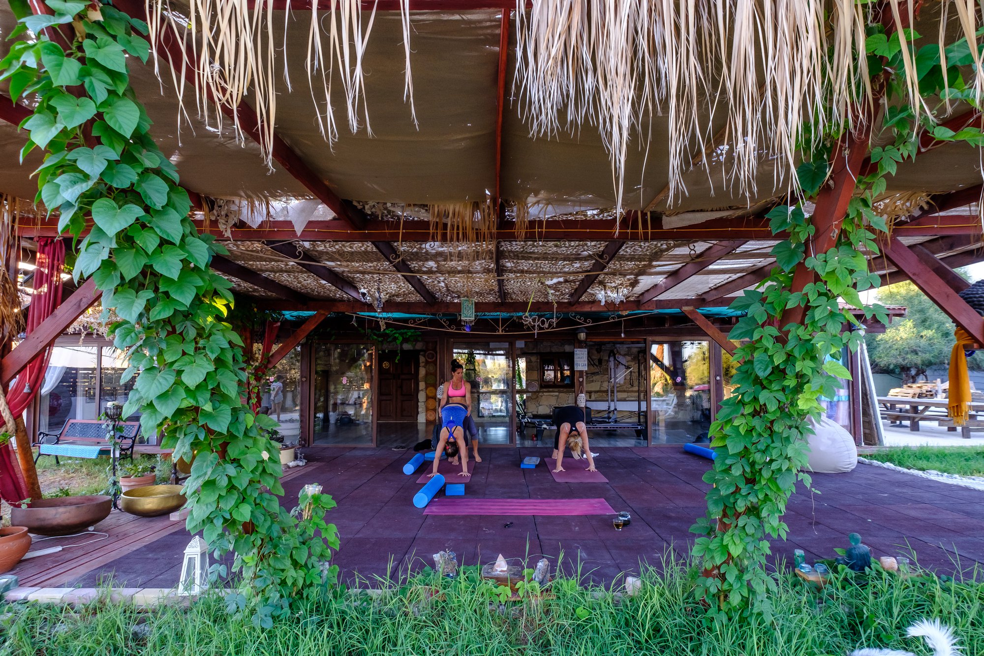 image Enjoy a holistic summer break in August