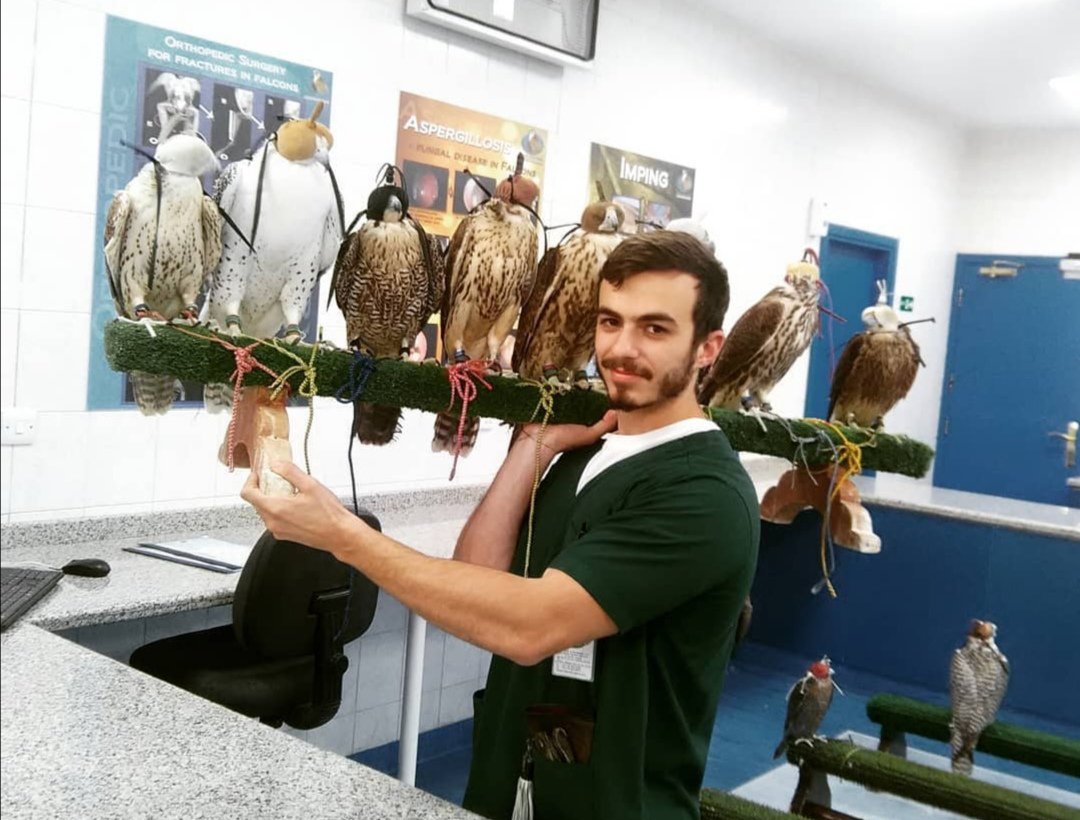 feature gina main constantinos with hunting falcons at abu dhabi falcon hospital