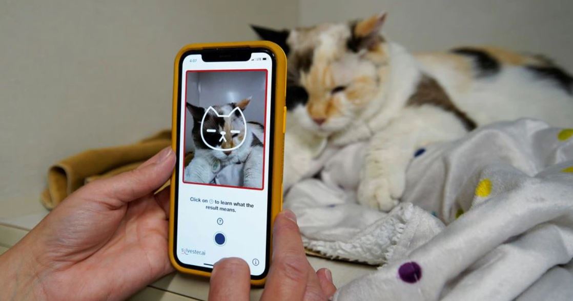 image The app that tells you if your cat&#8217;s happy