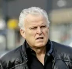 de vries