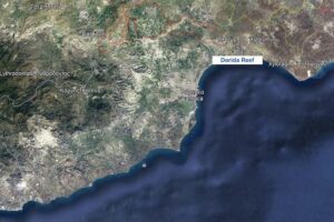 dorida reef
