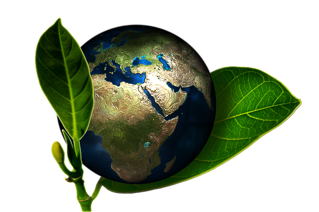 image 8 eco-friendly alternatives for your everyday use