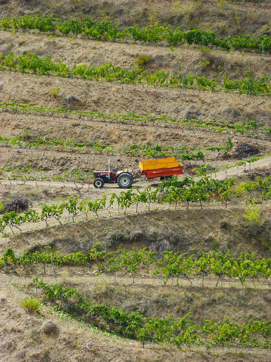 feature andrew a large percentage of the plots are on mountainous sites or terraces that are difficult to farm