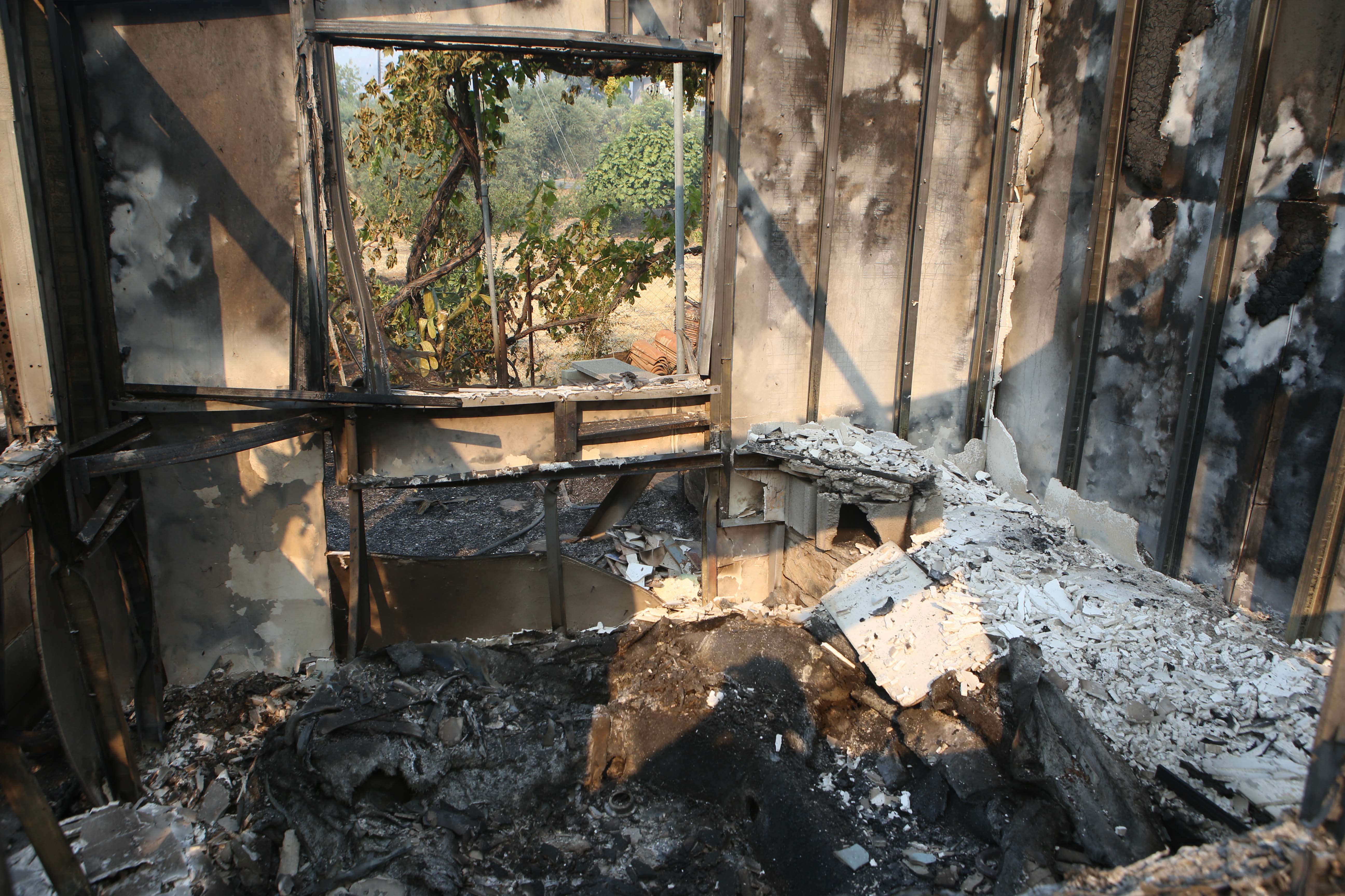 image Businessman Papaellinas donates half a million to those affected by fire
