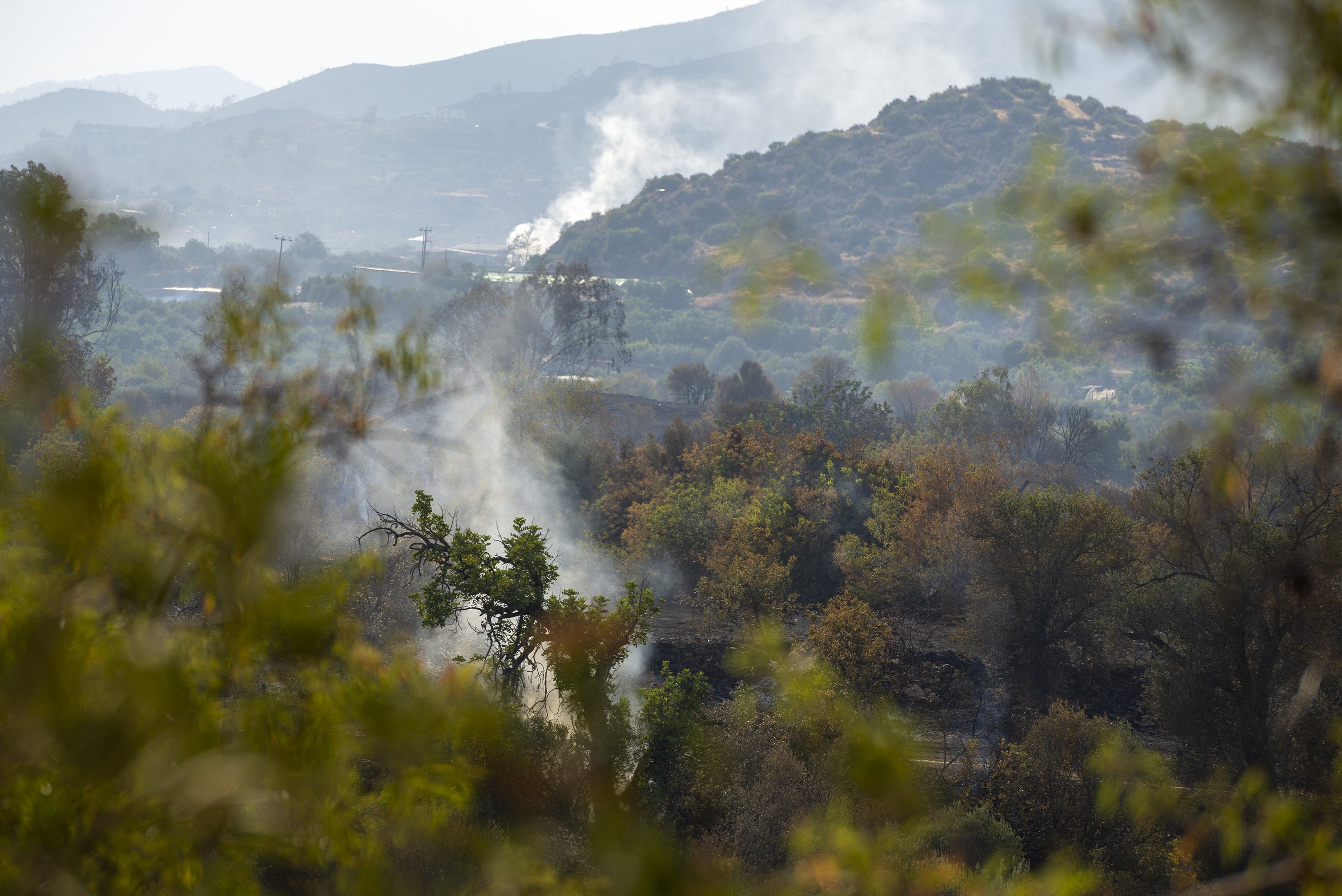image Questions over preparedness after Cyprus’ worst fire (Update 2)
