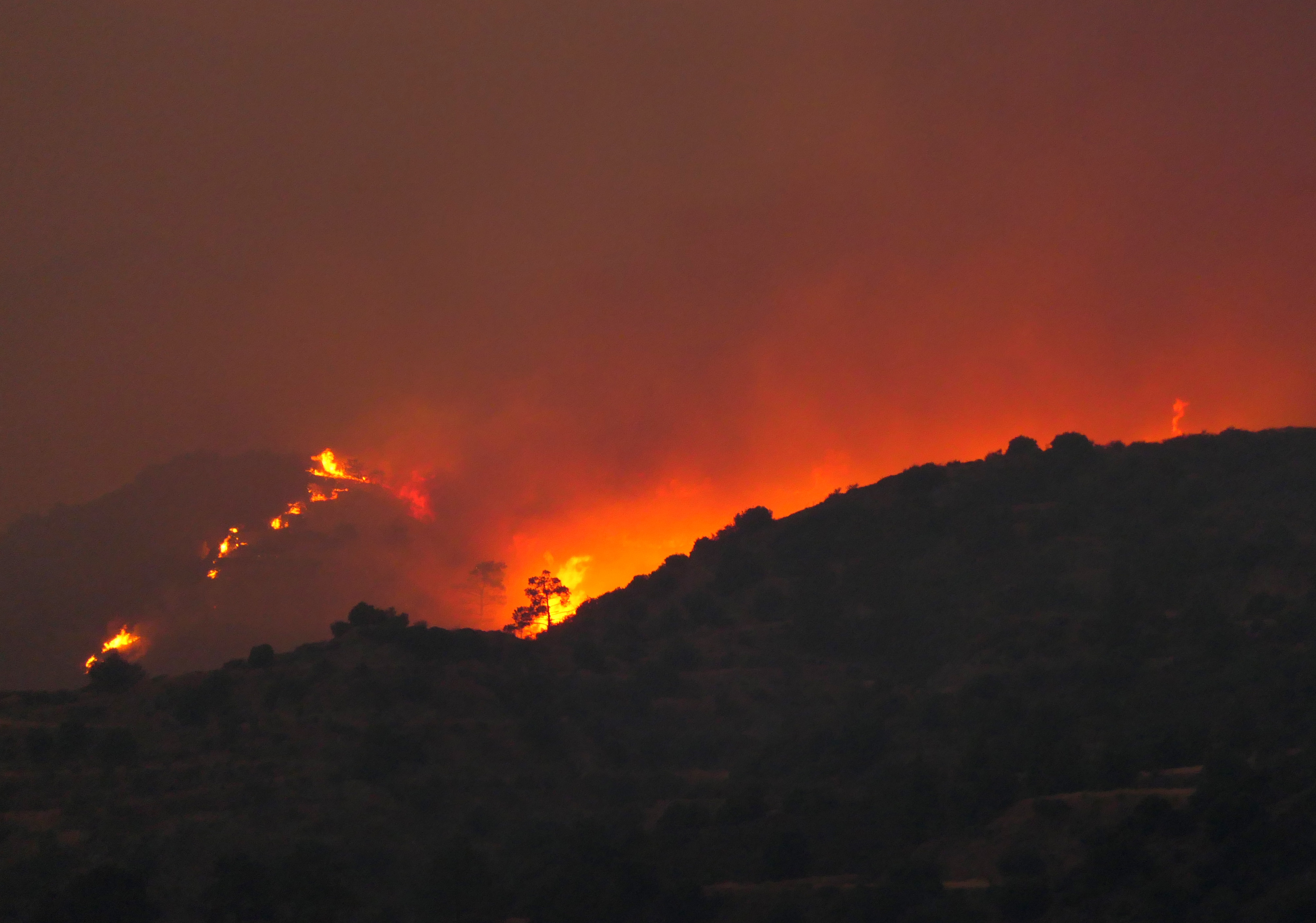image Helpful phone numbers for those affected by fire