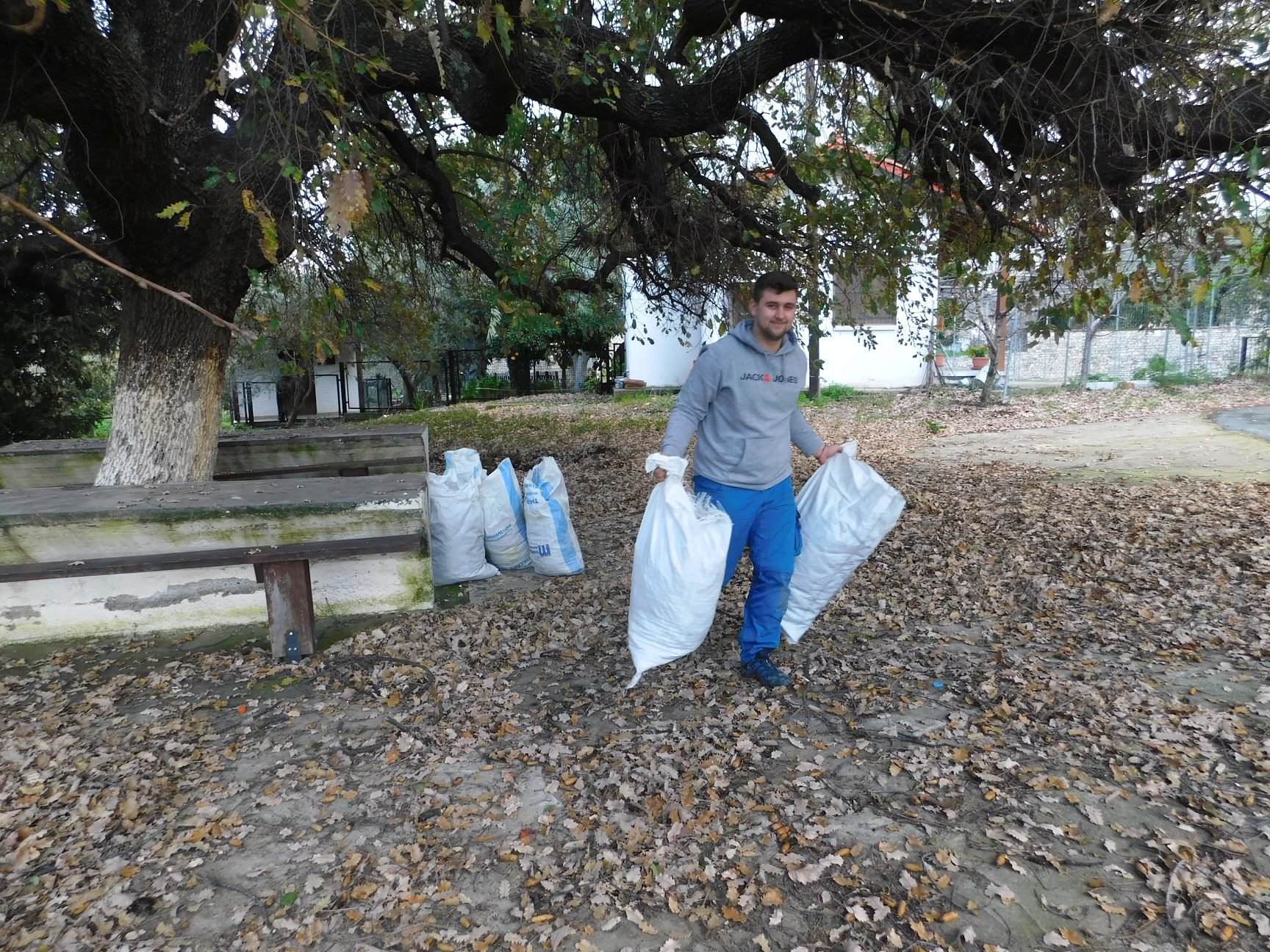 martin forestry students from germany on a grampus placement in kato drys gather acorns to establish more oak trees