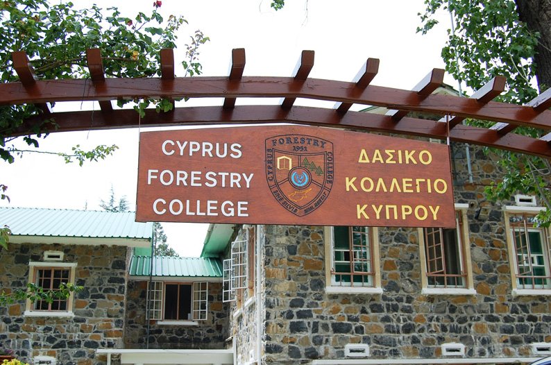image Forestry college reopening welcomed