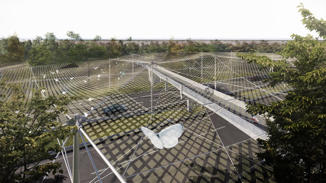 image The Butterfly Effect: a bridge to help insects cross the road
