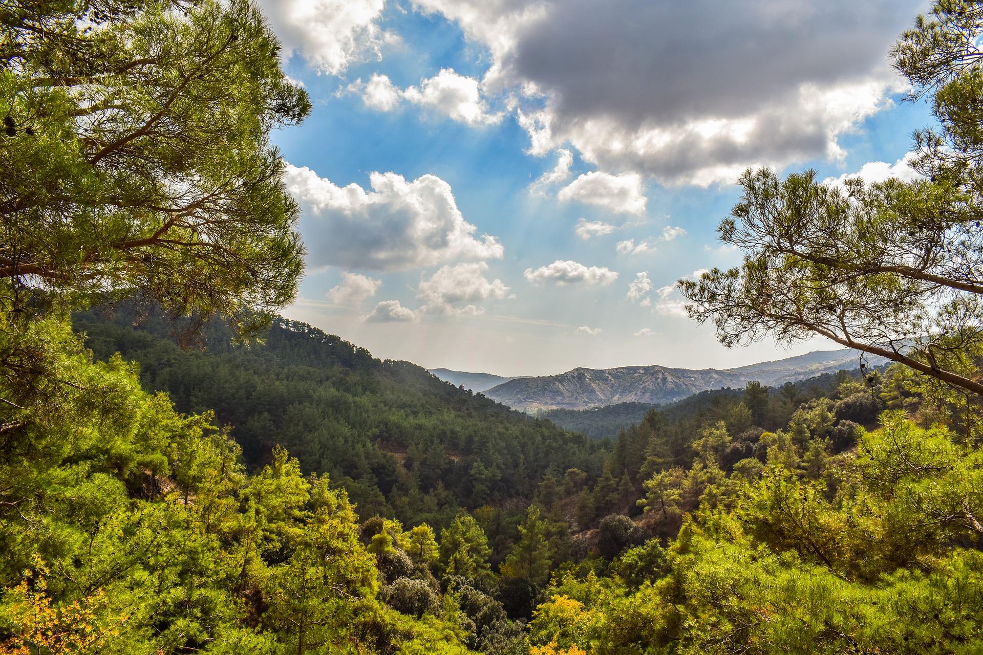 image Today&#8217;s weather: Mainly clear, mountain rain expected