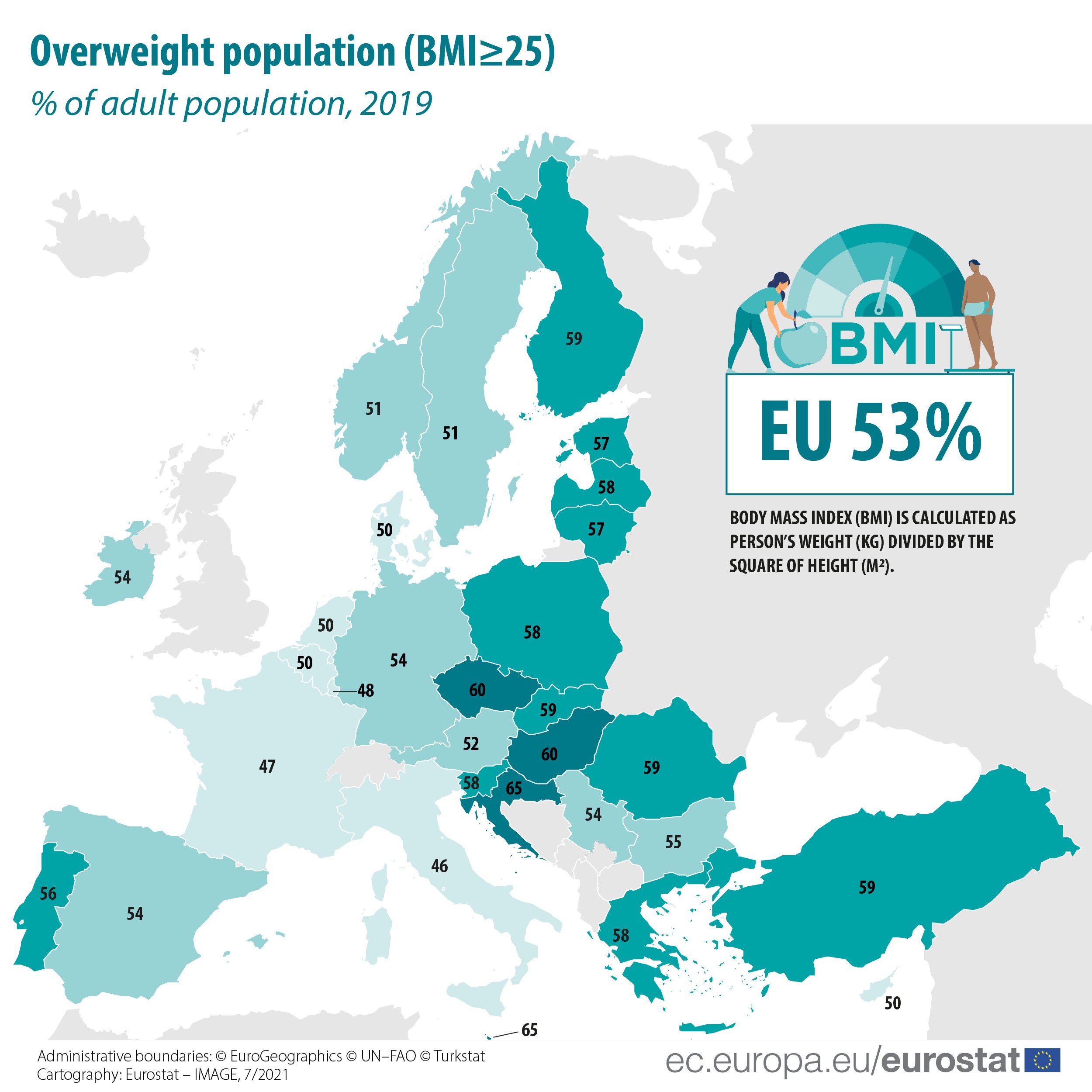image Eurostat: Nearly one in two adults in Cyprus are overweight