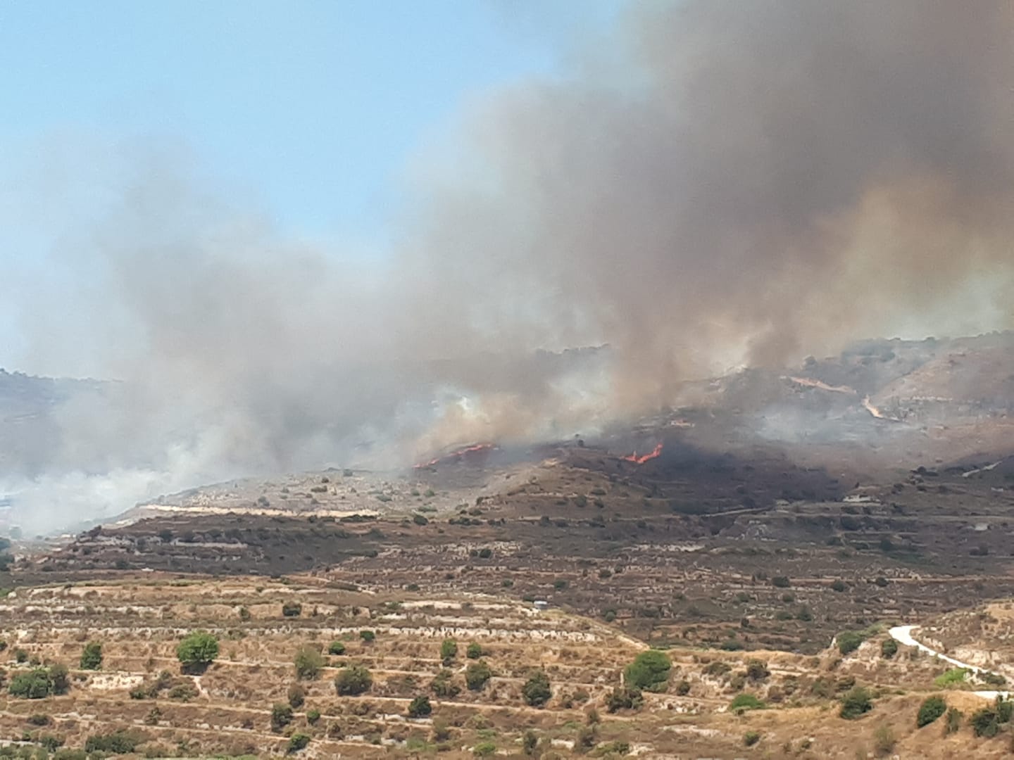 pachna fire