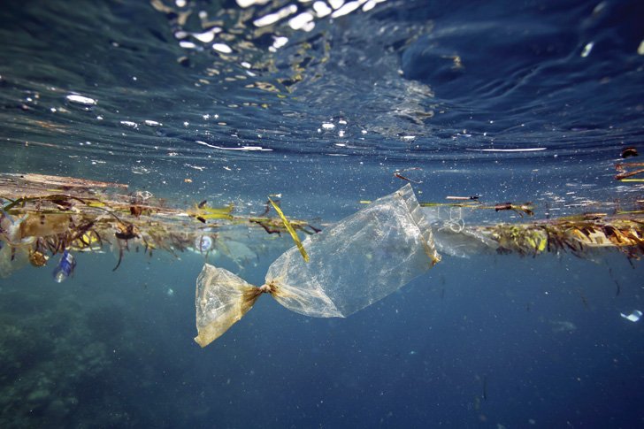 image Lordos aids Cyprus University sea cleaning campaign