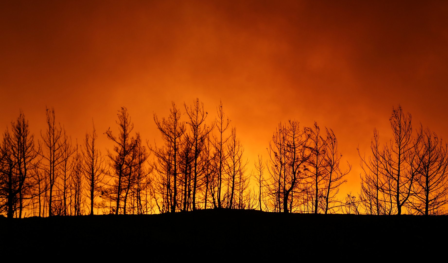image Wildfire in southwest Turkey rages on, dashing hopes it was contained