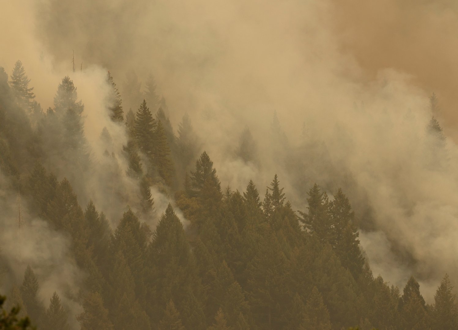 image Arid conditions flame growing California wildfires