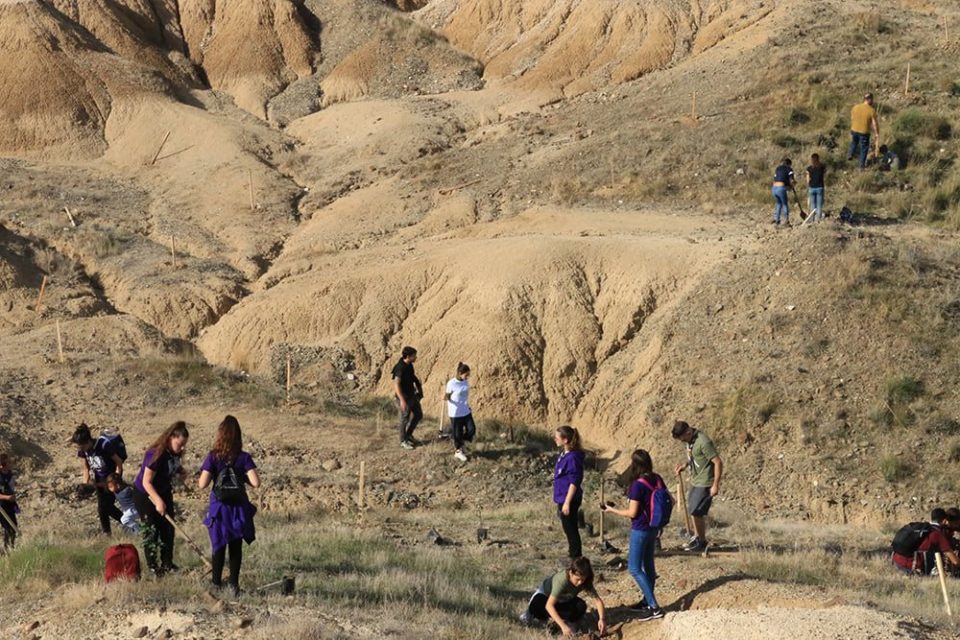 image Australian donation to help group plant 300k trees in Nicosia
