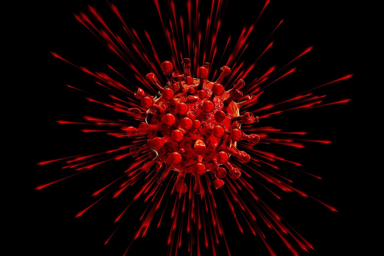 image Coronavirus: Three deaths, 613 new cases (updated)