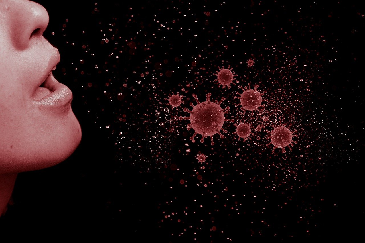 image Coronavirus: No deaths, 83 new cases on Sunday (Updated)