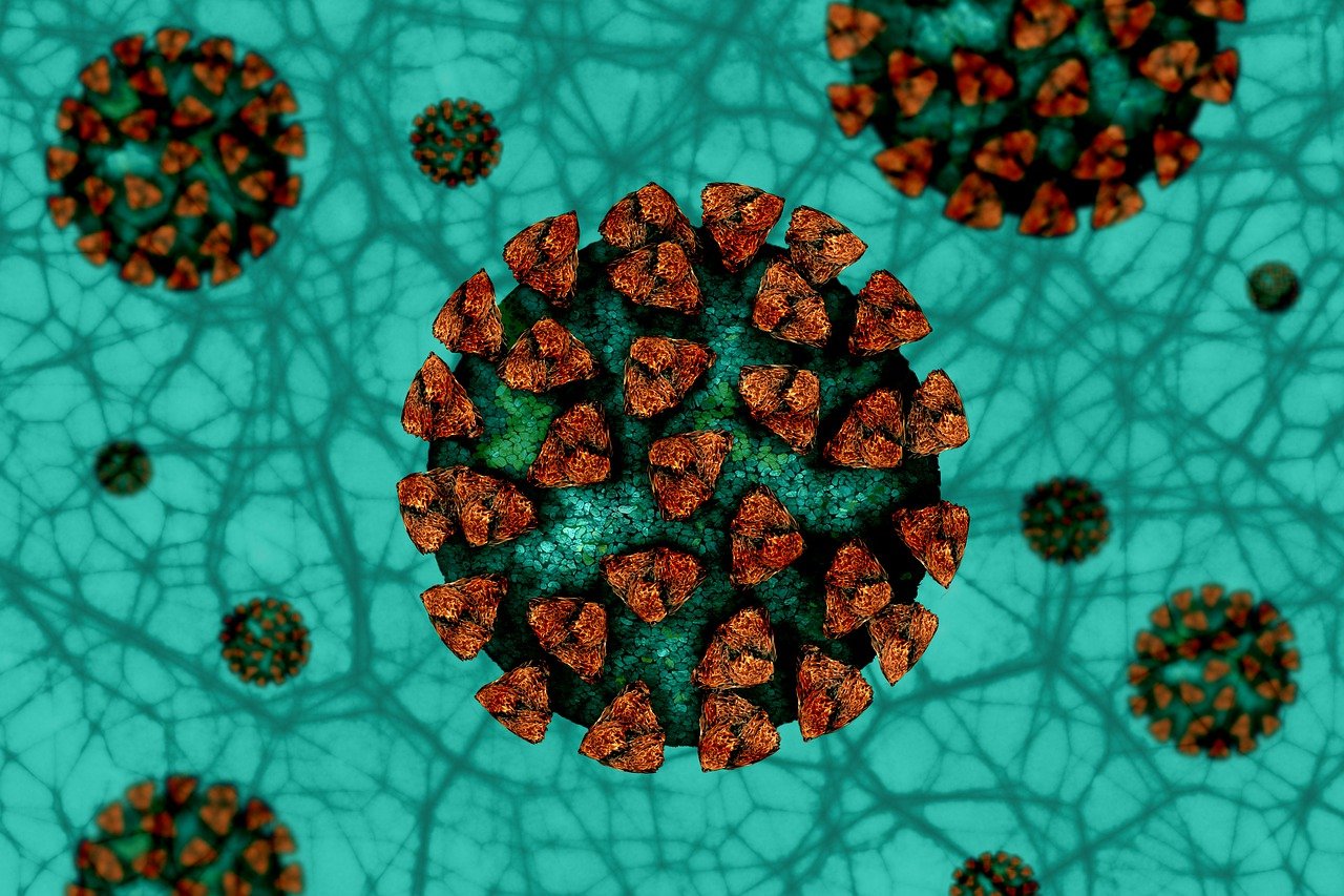 image Coronavirus: 662 new cases, one death (updated)